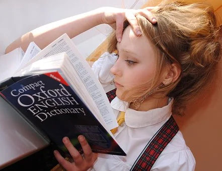Language Arts 6 (1.0 Credit)