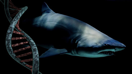 Marine Science (0.5 Credit)