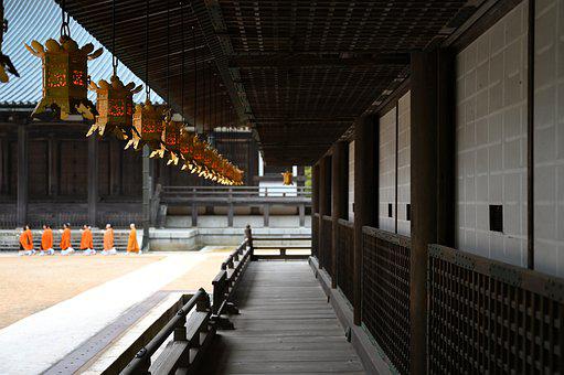 World History (1.0 Credit)